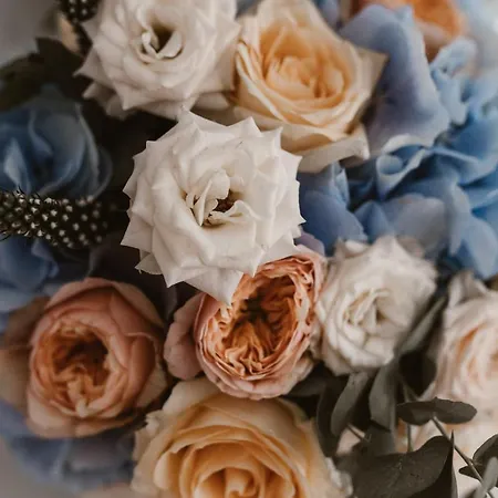 Oikos Boutique Residences Private Estate * Plateies