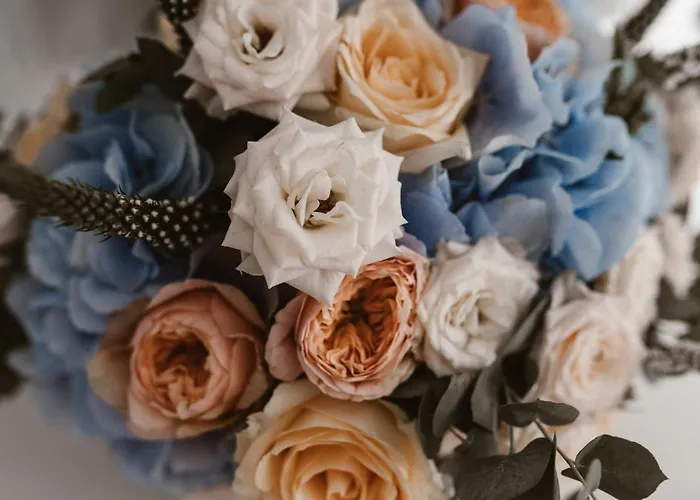 Oikos Boutique Residences Private Estate * Plateies